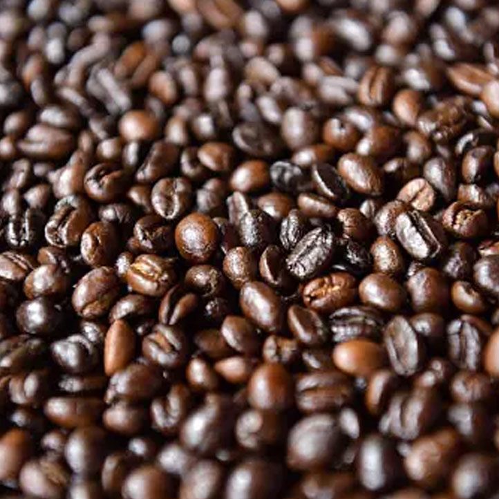 robusta